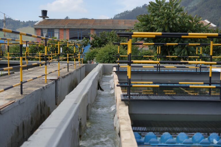 WhatsApp Image 2026-04-24 at 4.51.49 PM (1)